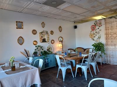 Aurora Vines and Vibes