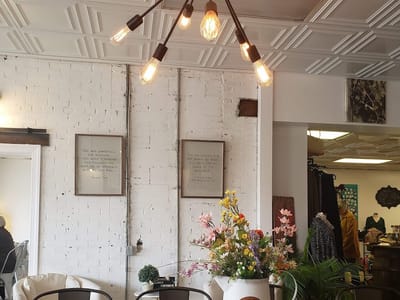 Aurora Vines and Vibes