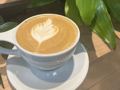 Avoca Coffee Roasters