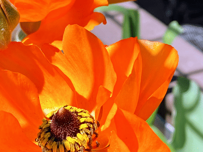 Awakening Coffee & Tap House & Brewery