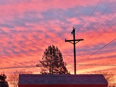 B'wiches Sandwich Shoppe