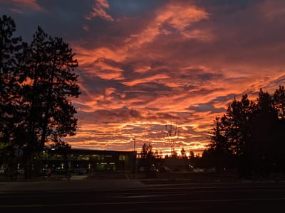 Backporch Coffee Roasters- Drive Up