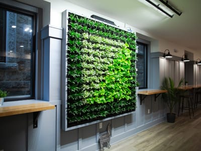 Backyard Beans Coffee Company - Ambler