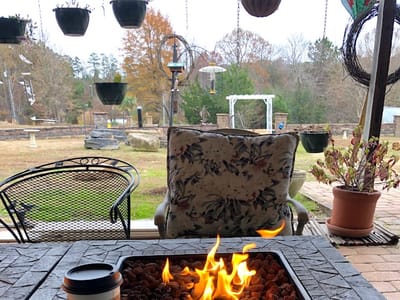 Backyard Birds & Coffee