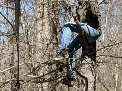Backyard Birds & Coffee