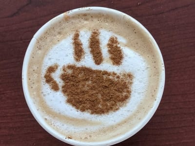 Backyard Birds & Coffee