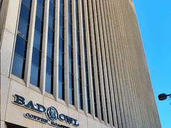 Bad Owl Coffee Roasters - Downtown