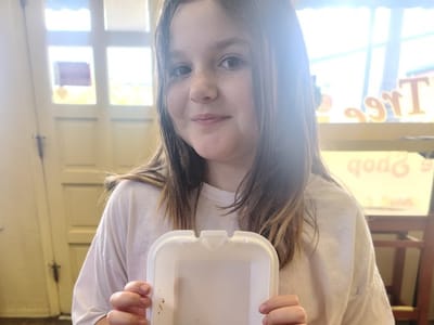 Bagel Tree Cafe & Bakeshop