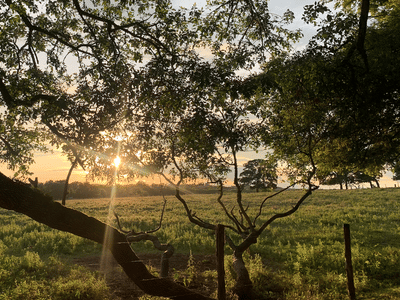 BAKE SHOP at All Things Acres
