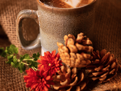 Bald Guy Brew Blowing Rock