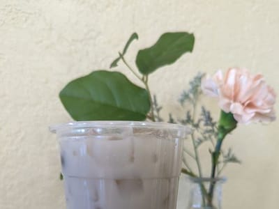 Bamboo Garden Chinese And Thai Cuisine