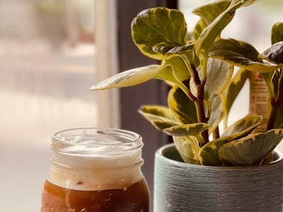 Bantam Coffee Roasters (formerly Eighty-Two Cafe)