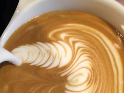 Bardot Coffee Roasters