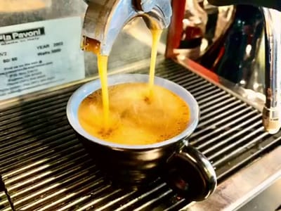 Bare Roots Coffee Roasting Company