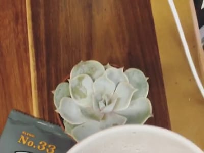 Barista Brew Coffee & Tea