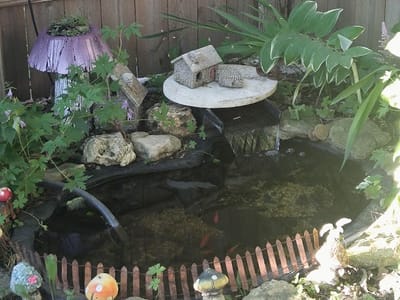 Barista's Coffee House