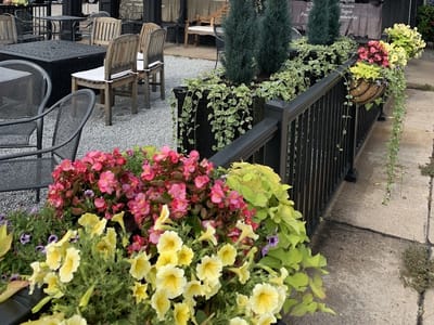 Barista's Daily Grind