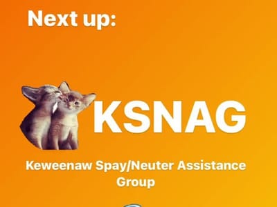 Barkin' Mad Coffee LLC