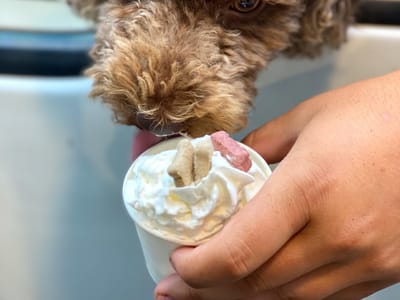 Barkin' Mad Coffee LLC