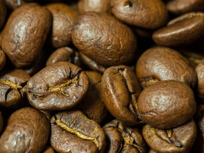 Barking Dog Roasters