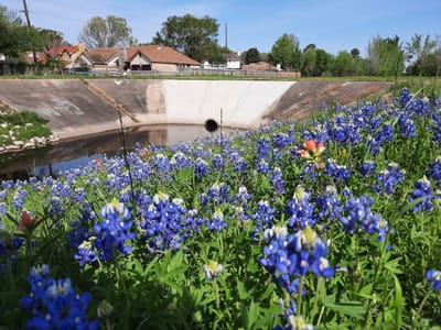 Barnabus Brothers Coffee