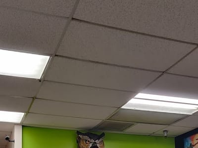 Battle Grounds Bountiful