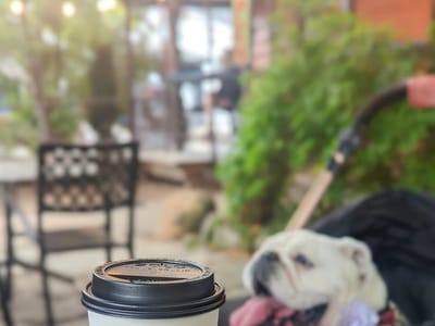 BattleCat Coffee Bar