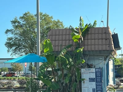 Bay Islands Coffee Company