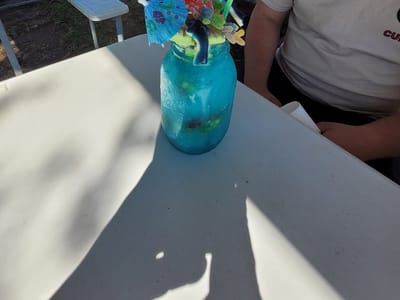 Bayou Snowball & Sandwiches