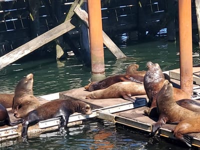 Bayscapes Gallery & Coffeehouse