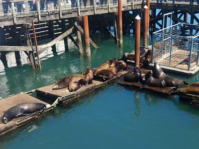 Bayscapes Gallery & Coffeehouse