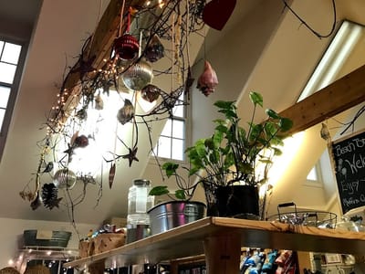 Beach Break & Bakrie