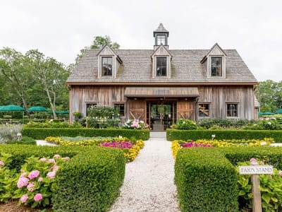 Beach Plum Bakery & Cafe