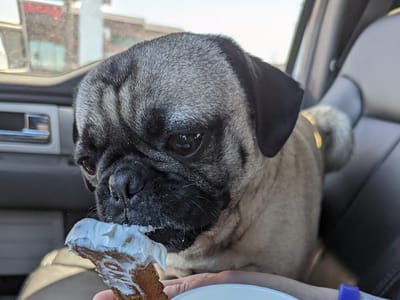 Beans & Brews Coffeehouse