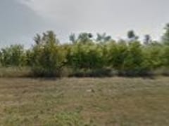 Beans & Cream Coffee