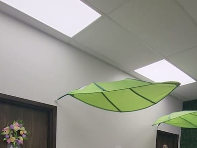 Beanstalk Coffee and Sno - Eastside