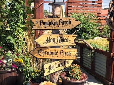 Bear & Blue Printing and Gifts