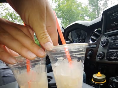 Bear Country Espresso