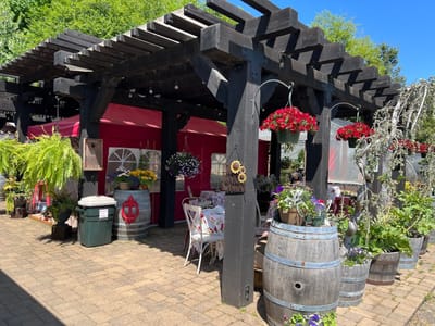 Bear Creek Artichokes