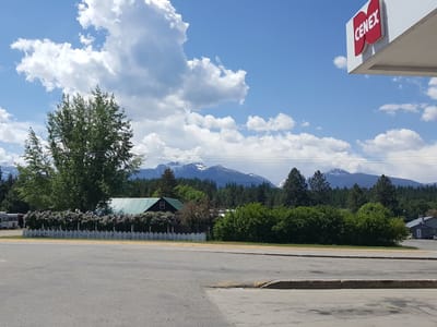 Bear'ly Awake Coffee Den