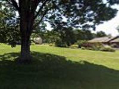 Bear Simplicity Donuts