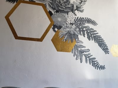 Bearded Lady Coffee Roasters