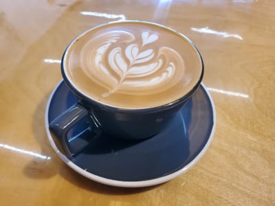 Bearded Lady Coffee Roasters