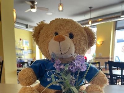 Beat The Daily Grind