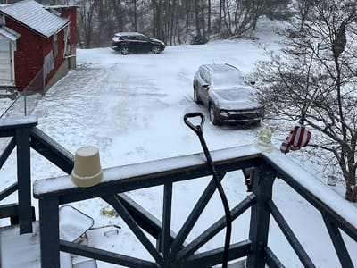 Beeology Coffee & Bakery Company