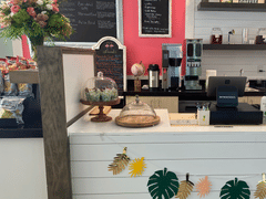 Bella Vida Boca Grande