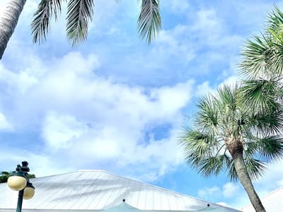 Bella Vida Boca Grande