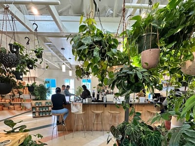 Bellwood Coffee - East Atlanta Village