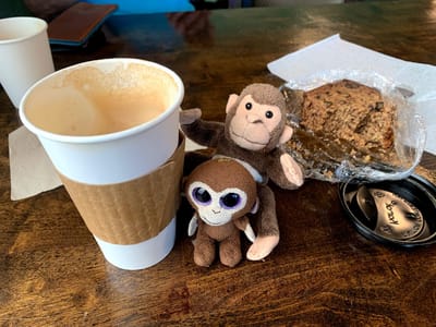 Bennu Coffee on Congress