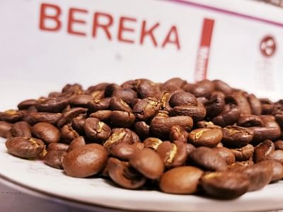 Bereka Coffee Mobile Coffee Trailer